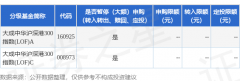 公告速递：大成中华沪深港300指数