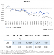 动态调整每一笔新增金额占持仓金