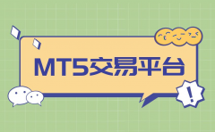 mt5入金安全吗打开Upway-MT5交易软件