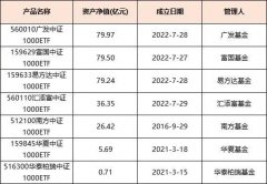 指数基金什么意思总