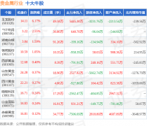 主力资金净流入640.